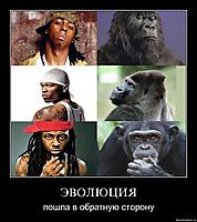 ЭВОЛЮЦИЯ пошла в обратную сторону