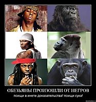 ОБЕЗЬЯНЫ ПРОИЗОШЛИ ОТ НЕГРОВ поищи в инете доказательства! поищи сука!
