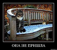 ОНА НЕ ПРИШЛА 