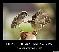 ПОМОЛЧИ-КА, БАБА-ДУРА! так работает цензура!