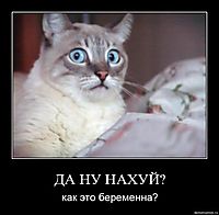 ДА НУ НАХУЙ? как это беременна?