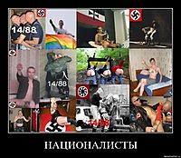 НАЦИОНАЛИСТЫ 