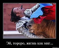 Эй, тореро, жизнь как миг... 