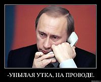 -УНЫЛАЯ УТКА, НА ПРОВОДЕ. 