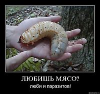 ЛЮБИШЬ МЯСО? люби и паразитов!