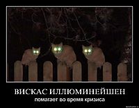 ВИСКАС ИЛЛЮМИНЕЙШЕН помагает во время кризиса