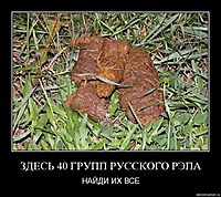 ЗДЕСЬ 40 ГРУПП РУССКОГО РЭПА НАЙДИ ИХ ВСЕ