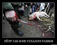 ПЁТР ТАК И НЕ УЕХАЛ ИЗ РАШКИ 