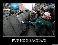 PVP ИЛИ ЗАССАЛ? 