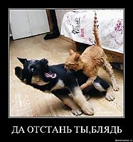 ДА ОТСТАНЬ ТЫ,БЛЯДЬ 