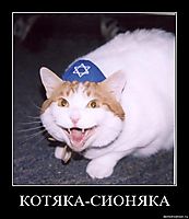 КОТЯКА-СИОНЯКА 