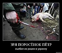 ЗРЯ ПОРОСЁНОК ПЁТР съебал из рашки в украину