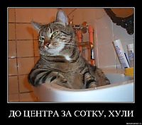 ДО ЦЕНТРА ЗА СОТКУ, ХУЛИ 