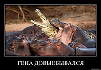 ГЕНА ДОВЫЕБЫВАЛСЯ 