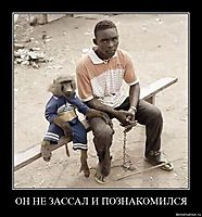 ОН НЕ ЗАССАЛ И ПОЗНАКОМИЛСЯ 