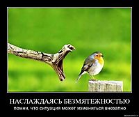 НАСЛАЖДАЯСЬ БЕЗМЯТЕЖНОСТЬЮ помни, что ситуация может измениться внезапно