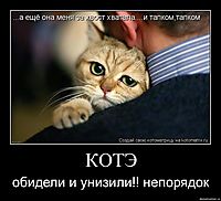 КОТЭ обидели и унизили!! непорядок