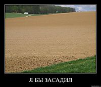 Я БЫ ЗАСАДИЛ 