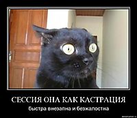 СЕССИЯ ОНА КАК КАСТРАЦИЯ быстра внезапна и безжалостна