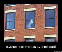 НАКОНЕЦ-ТО СОБЧАК ЗА РЕШЁТКОЙ 