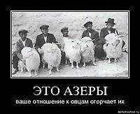 ЭТО АЗЕРЫ ваше отношение к овцам огорчает их