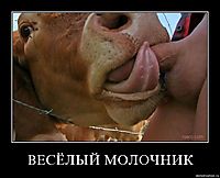 ВЕСЁЛЫЙ МОЛОЧНИК 