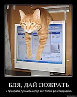 БЛЯ, ДАЙ ПОЖРАТЬ и прекрати дрочить когда я с тобой разговариваю
