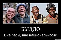 БЫДЛО Вне расы, вне национальности