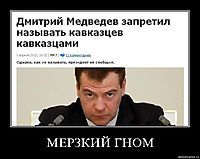 МЕРЗКИЙ ГНОМ 