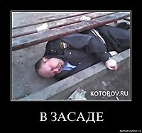 В ЗАСАДЕ 