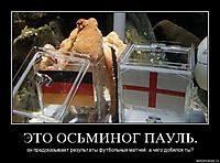 ЭТО ОСЬМИНОГ ПАУЛЬ. он предсказывает результаты футбольных матчей. а чего добился ты?