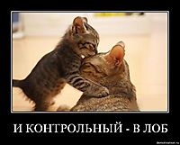 И КОНТРОЛЬНЫЙ - В ЛОБ 