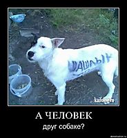 А ЧЕЛОВЕК друг собаке?