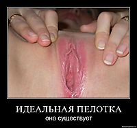 ИДЕАЛЬНАЯ ПЕЛОТКА она существует