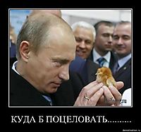 КУДА Б ПОЦЕЛОВАТЬ.......... 