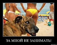 ЗА МНОЙ НЕ ЗАНИМАТЬ!