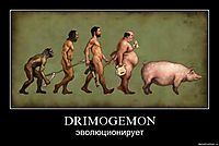 DRIMOGEMON эволюционирует