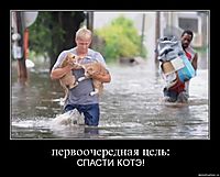 первоочередная цель: СПАСТИ КОТЭ!
