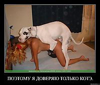 ПОЭТОМУ Я ДОВЕРЯЮ ТОЛЬКО КОТЭ. 