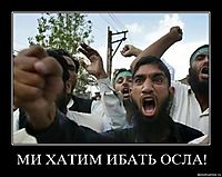 МИ ХАТИМ ИБАТЬ ОСЛА! 