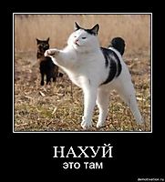 НАХУЙ это там