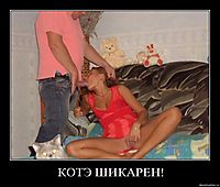 КОТЭ ШИКАРЕН! 