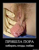 ПРИШЛА ПОРА собирать плоды любви