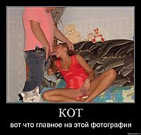 КОТ вот что главное на этой фотографии