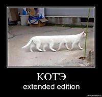КОТЭ extended edition