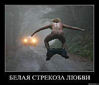 БЕЛАЯ СТРЕКОЗА ЛЮБВИ 