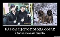 КАВКАЗЕЦ-ЭТО ПОРОДА СОБАК а быдло слева-это овцеебы