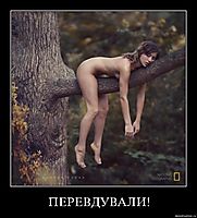 ПЕРЕВДУВАЛИ! 
