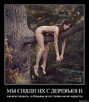 МЫ СНЯЛИ ИХ С ДЕРЕВЬЕВ И научили говорить, а обезьяны за это теперь на нас кидаются