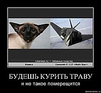 БУДЕШЬ КУРИТЬ ТРАВУ